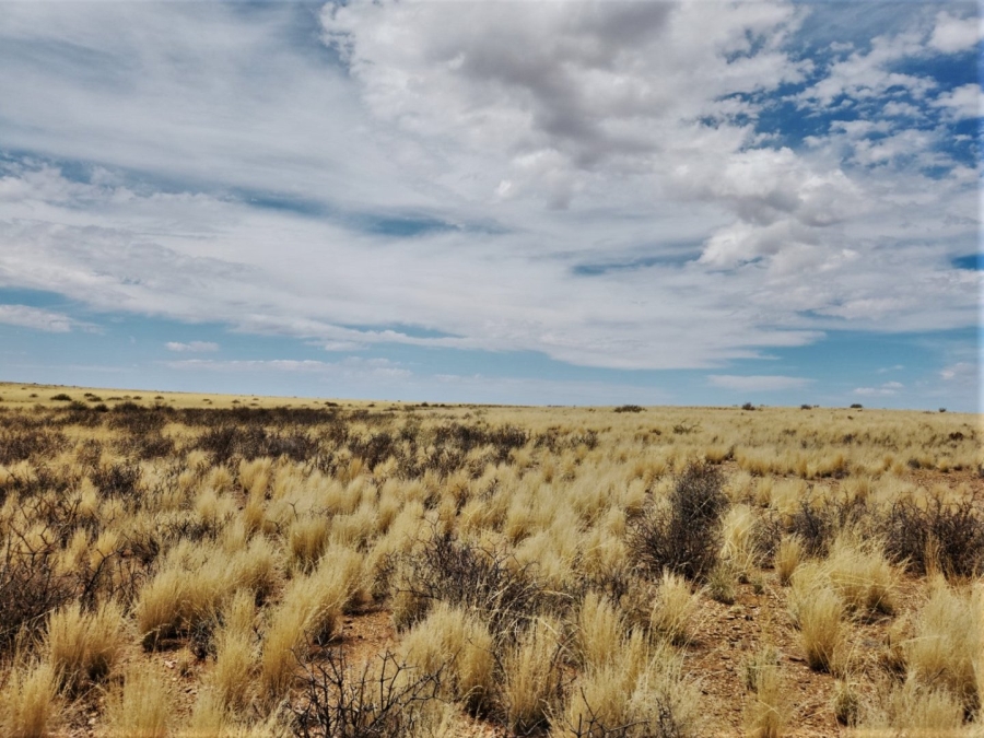 Commercial Property for Sale in Williston Rural Northern Cape